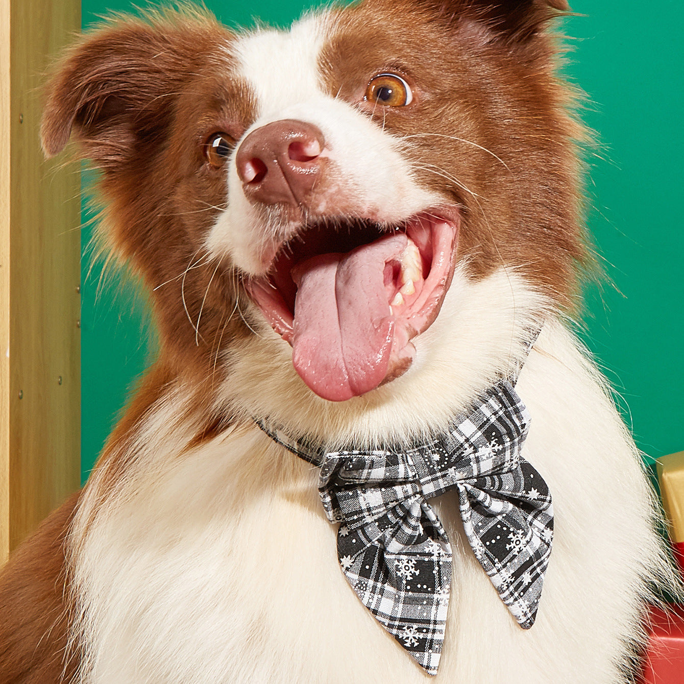 Pet Cat Christmas Dog Snowflake Bow Collar