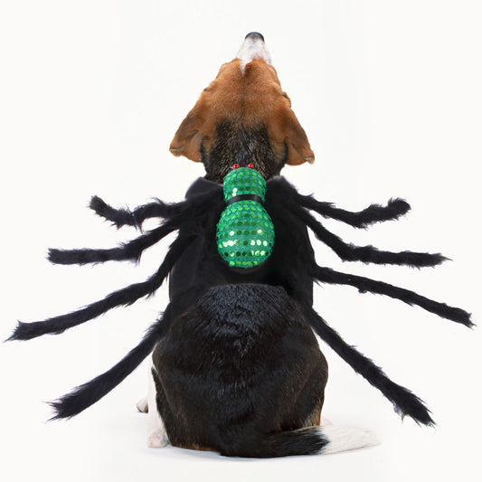 Pet Sequin Spider Halloween Cat Creative Small Dogs Costume