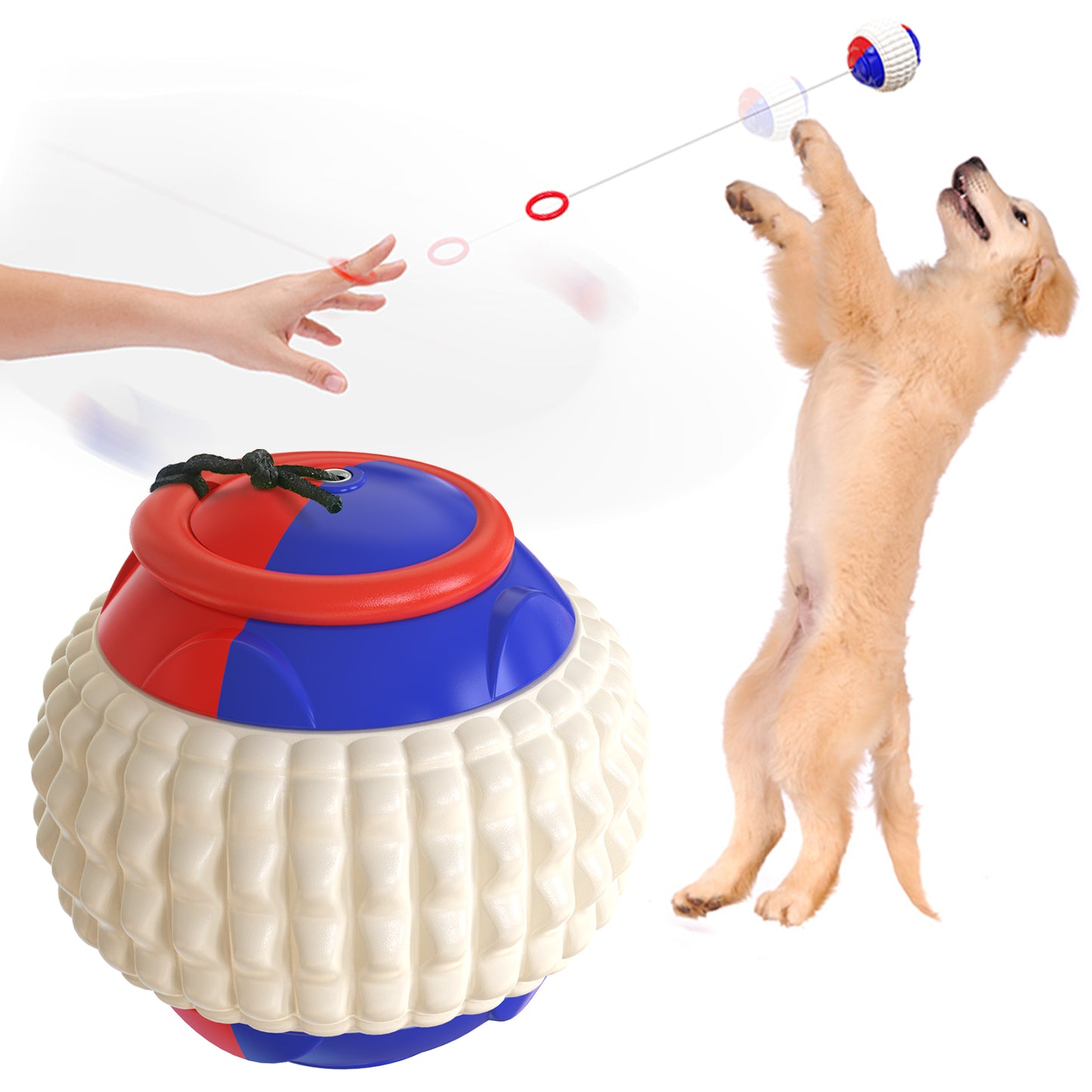 Pet Supplies Training Dog Walking Non-Automatic Outdoor Toys Throw Ball Club Throw Ball Device