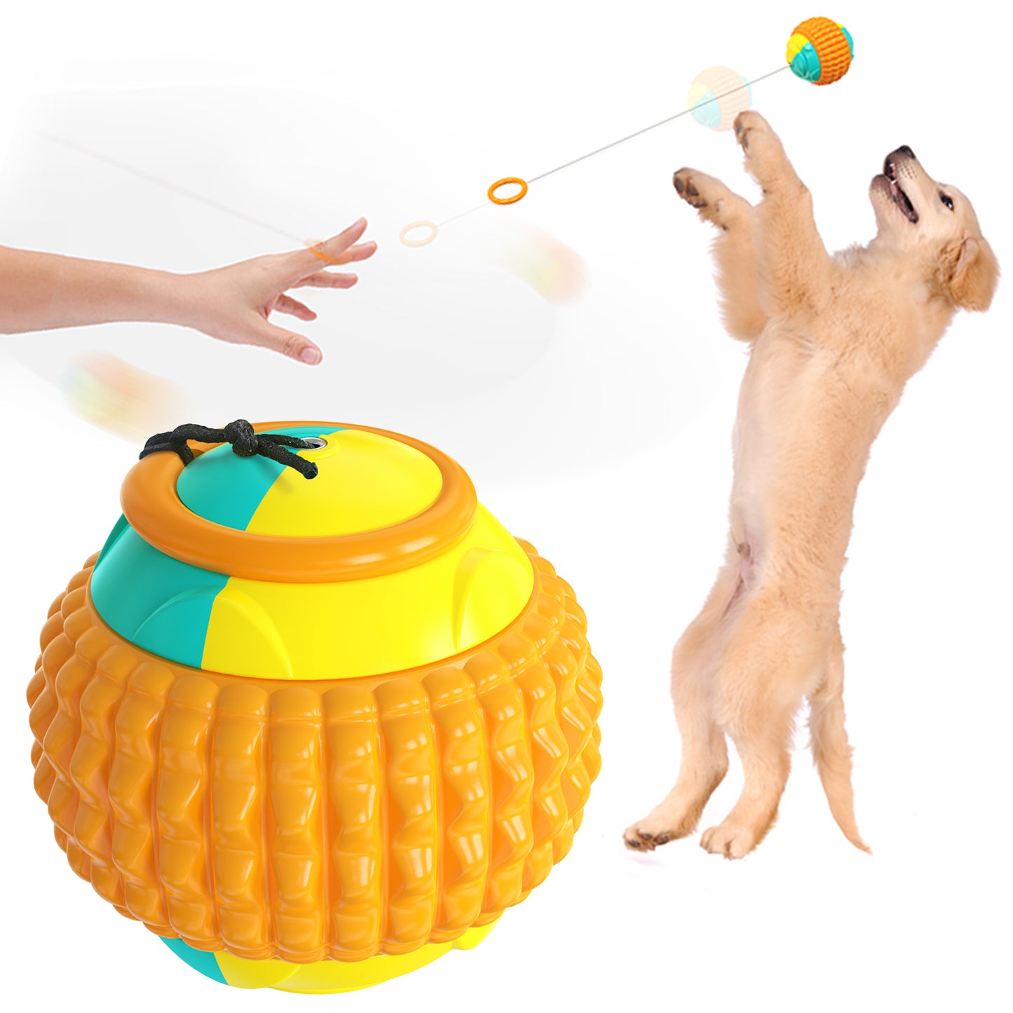 Pet Supplies Training Dog Walking Non-Automatic Outdoor Toys Throw Ball Club Throw Ball Device