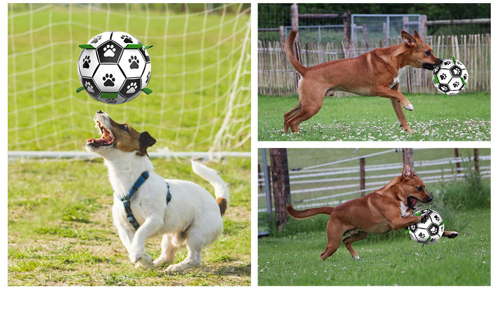 Pet Supplies Dog Ball Toys Outdoor Multifunctional Interactive Rope Football